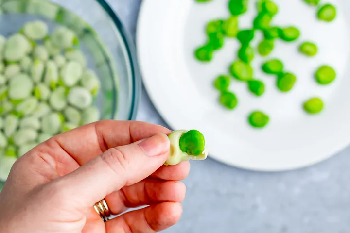 Close up of a cooked broadbean being shelled by hand