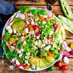 Broad Bean and Quinoa Caprese Salad - 99