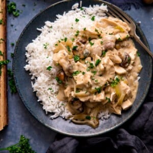 Chicken ala king with rice on a dark plate