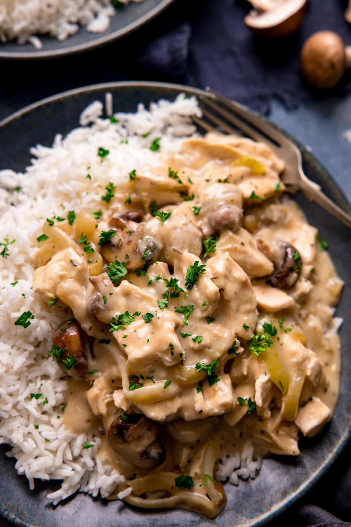 Close up of Chicken ala king on a dark plate with rice.