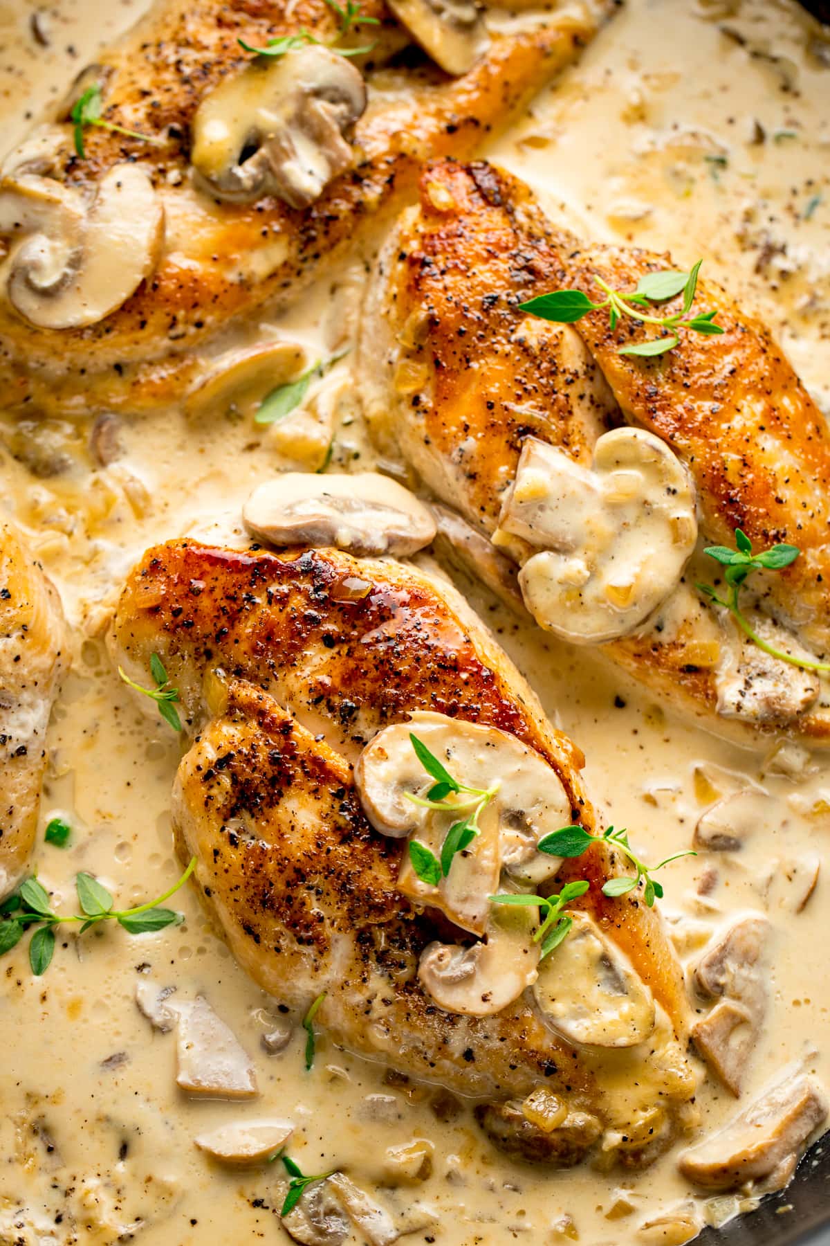 Close up of chicken in creamy white wine sauce with mushrooms