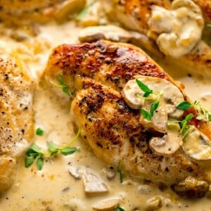 wide image of chicken in creamy white wine sauce with mushrooms