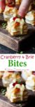 Cranberry and Brie bites - a simple appetizer or party snack that always gets polished off in minutes!