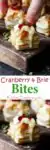 Cranberry and Brie bites - a simple appetizer or party snack that always gets polished off in minutes!