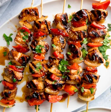 Honey Garlic Chicken Skewers square FS 21