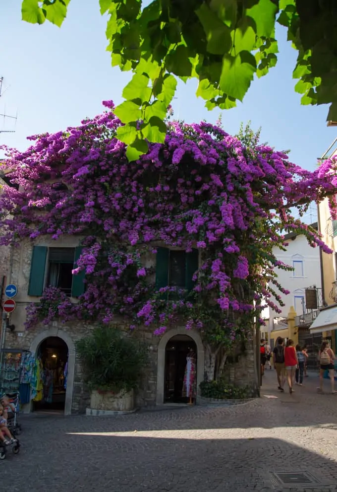 Lake Garda and Venice