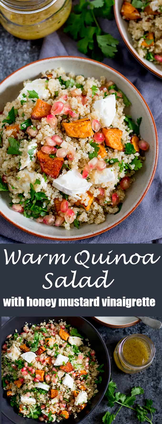 Need a comforting, warm lunch - packed full of healthy goodness too? Try this vegetarian Warm Quinoa And Goat's Cheese Salad With Honey Mustard Vinaigrette!
