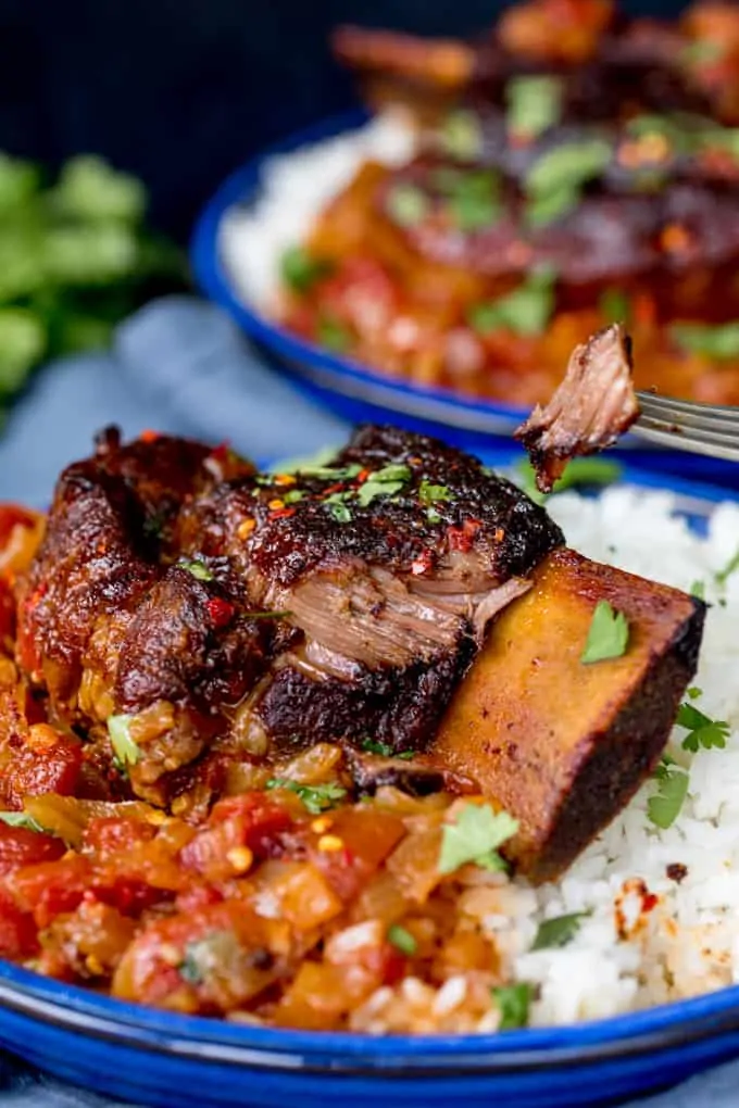 Caramelized Slow Roast Asian Beef Short Rib - Nicky's Kitchen Sanctuary