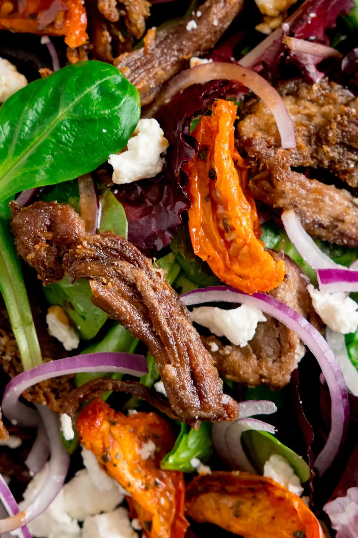 Extreme close up of a crispy lamb, feta and red onion salad. 