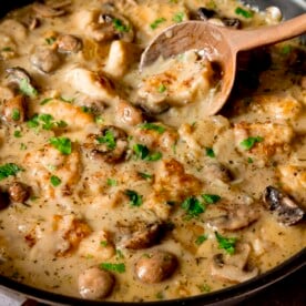 Square close-up image a large pan filled with creamy chicken and mushroom casserole. There is a wooden spoon in the pan.