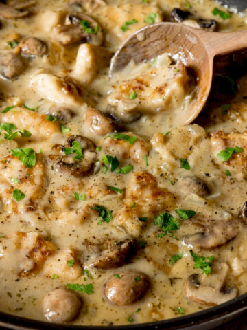 Square close-up image a large pan filled with creamy chicken and mushroom casserole. There is a wooden spoon in the pan.