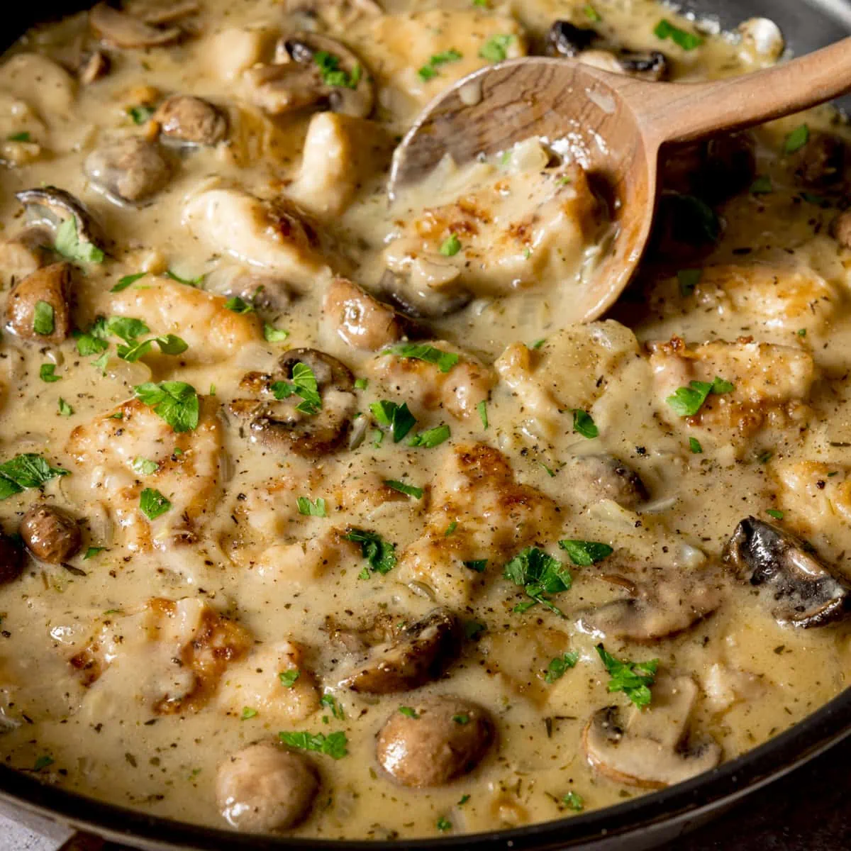 Square close-up image a large pan filled with creamy chicken and mushroom casserole. There is a wooden spoon in the pan.