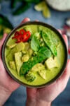 A bowl of Thai Green Curry with chicken, mangetout, broccoli, sliced red chilli, and fresh basil, held in two hands.