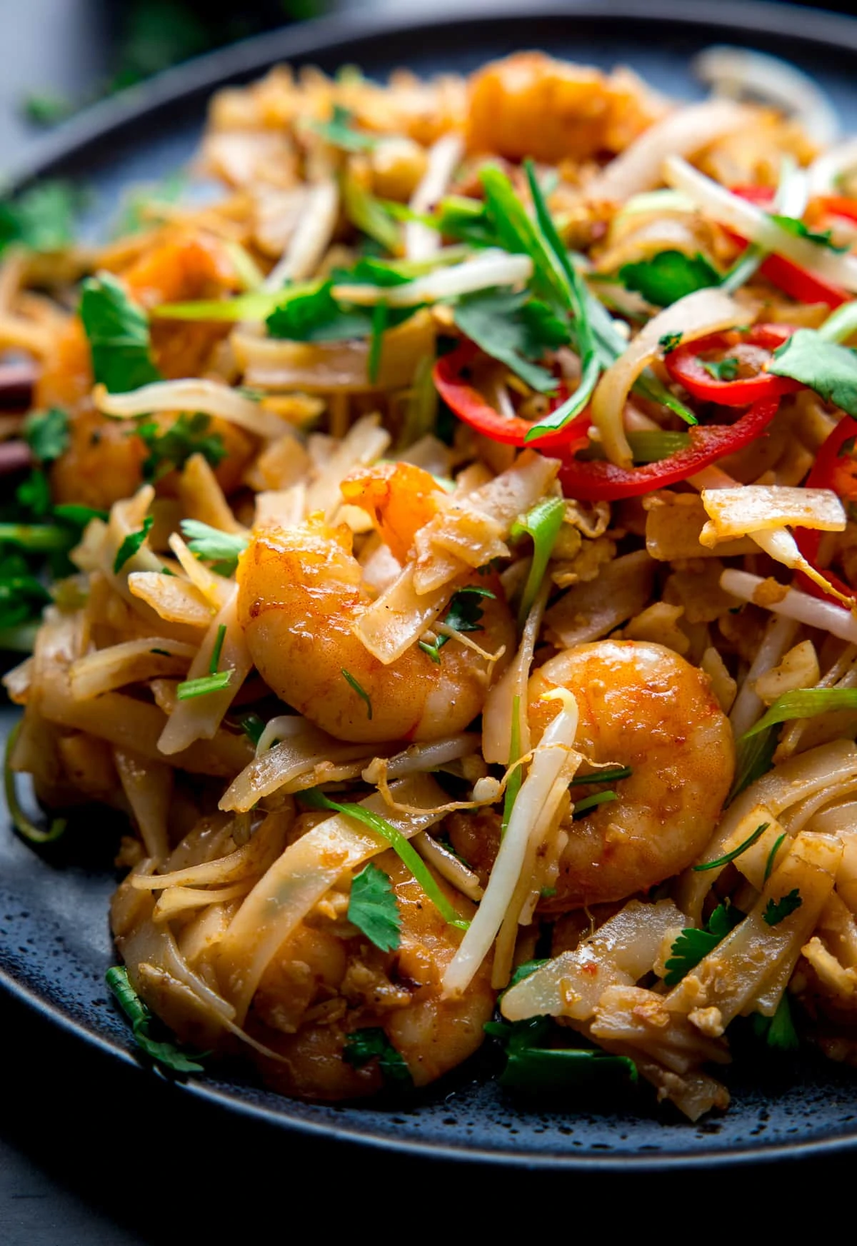 Close up image of Pad Thai with king prawns on a plate