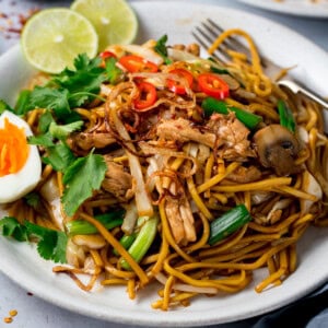 A plate of mee goreng (Asian noodles) stir-fried with shredded chicken, spring onions, red chilli slices, mushrooms, coriander, half a boiled egg, and lime wedges on a white plate.