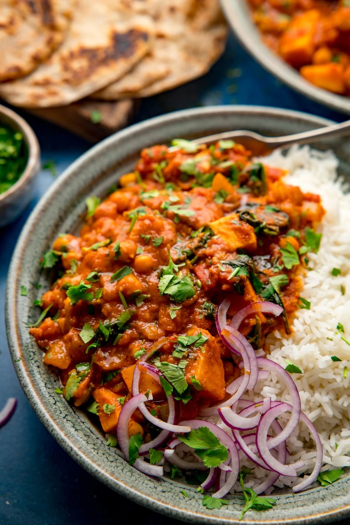 Close up of a bowl of chickpea and sweet potato curry with boiled rice