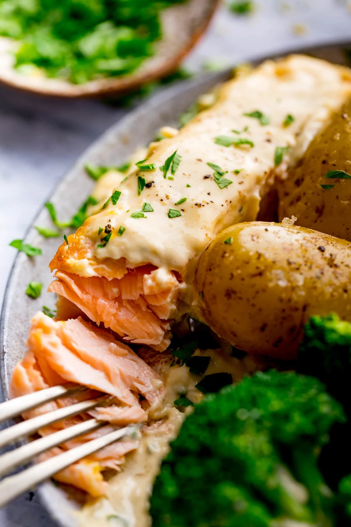 Close up of a piece of salmon in creamy sauce being flaked with a fork