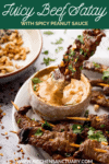 Grilled Beef Satay - 77