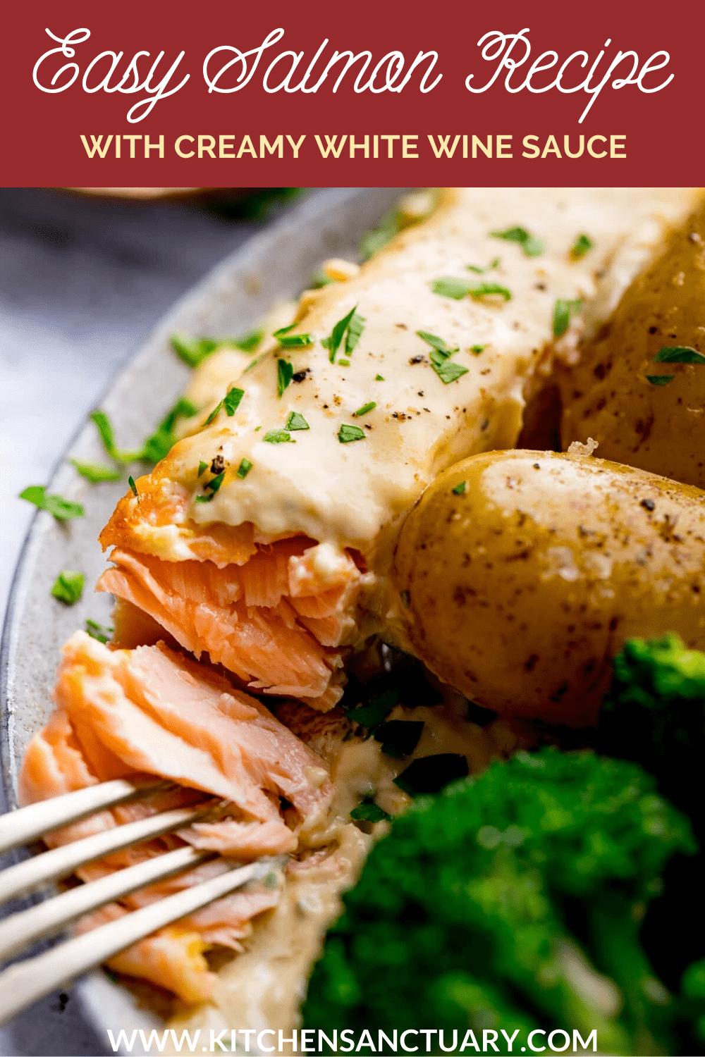 Easy Salmon Recipe with Creamy White Wine Sauce - Nicky's Kitchen Sanctuary