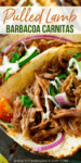 Lamb Barbacoa Carnitas - 82