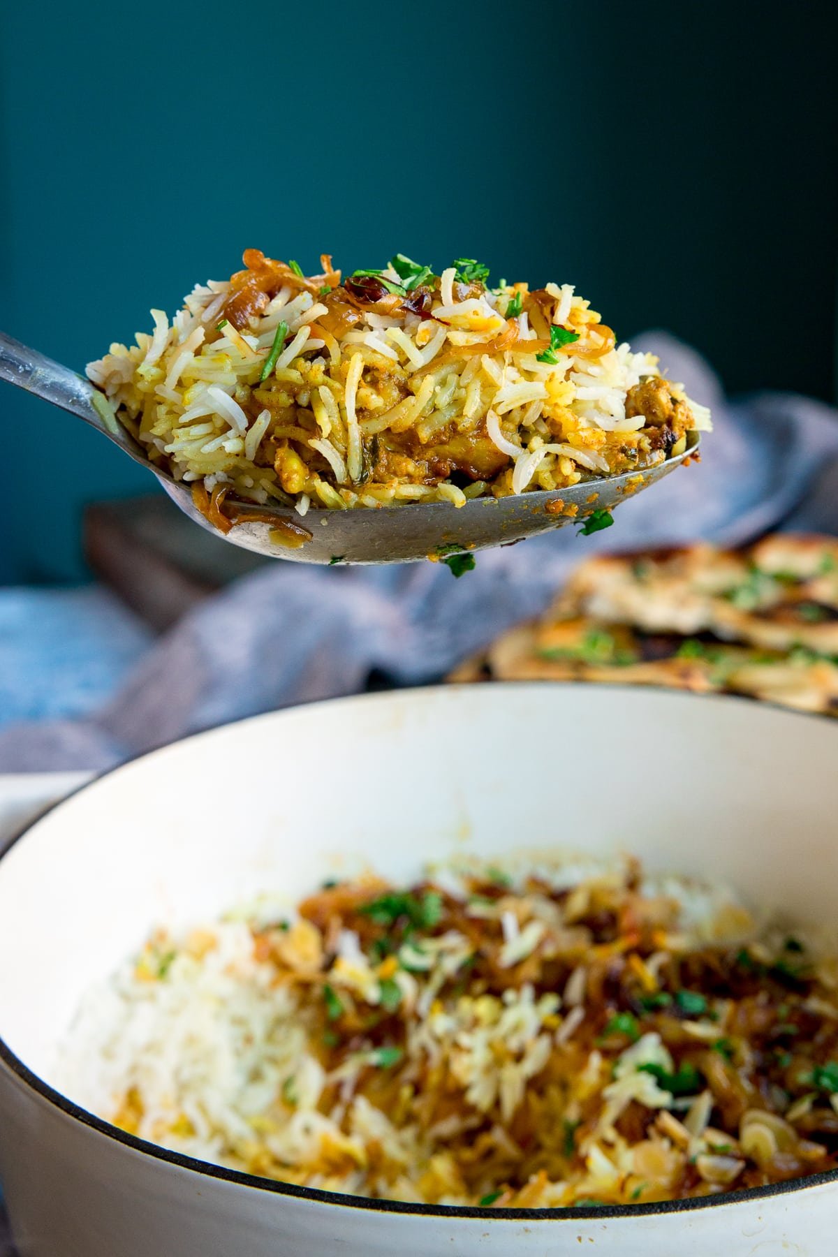 Chicken Biryani - 8