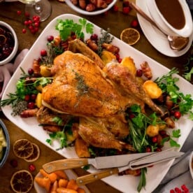Roast turkey on a white plate surrounding by garnishings of herbs, cranberries and Christmas dinner side dishes