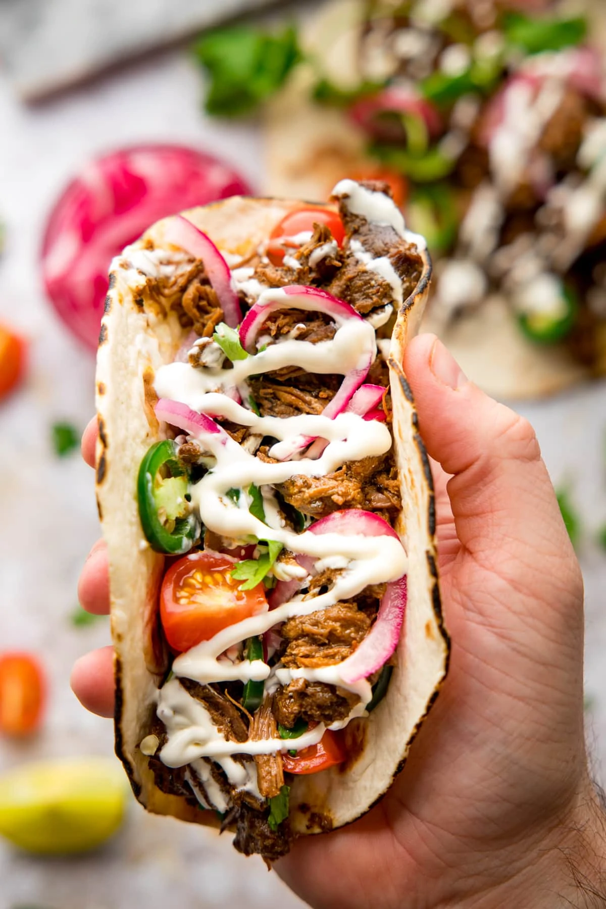 Hand holding a beef barbacoa taco with toppings