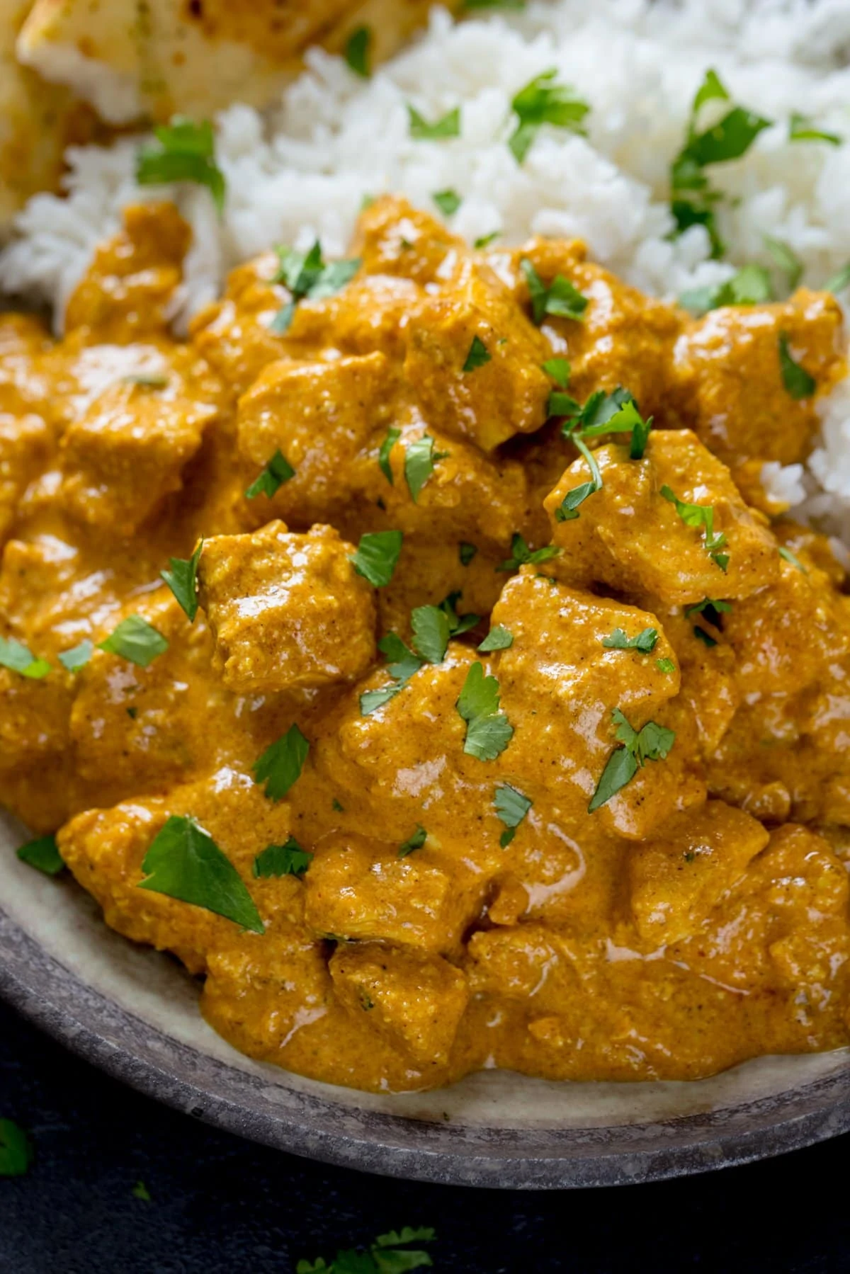 Close up of Chicken Korma curry in a bowl with rice