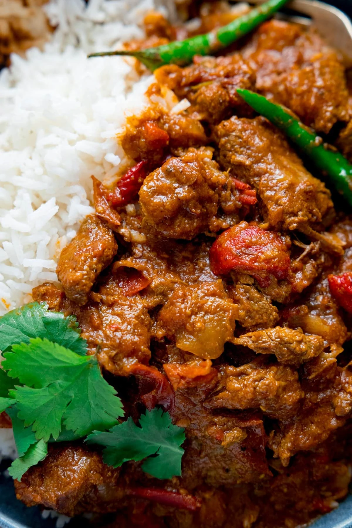 Close up shot of lamb bhuna and rice topped with fresh coriander.