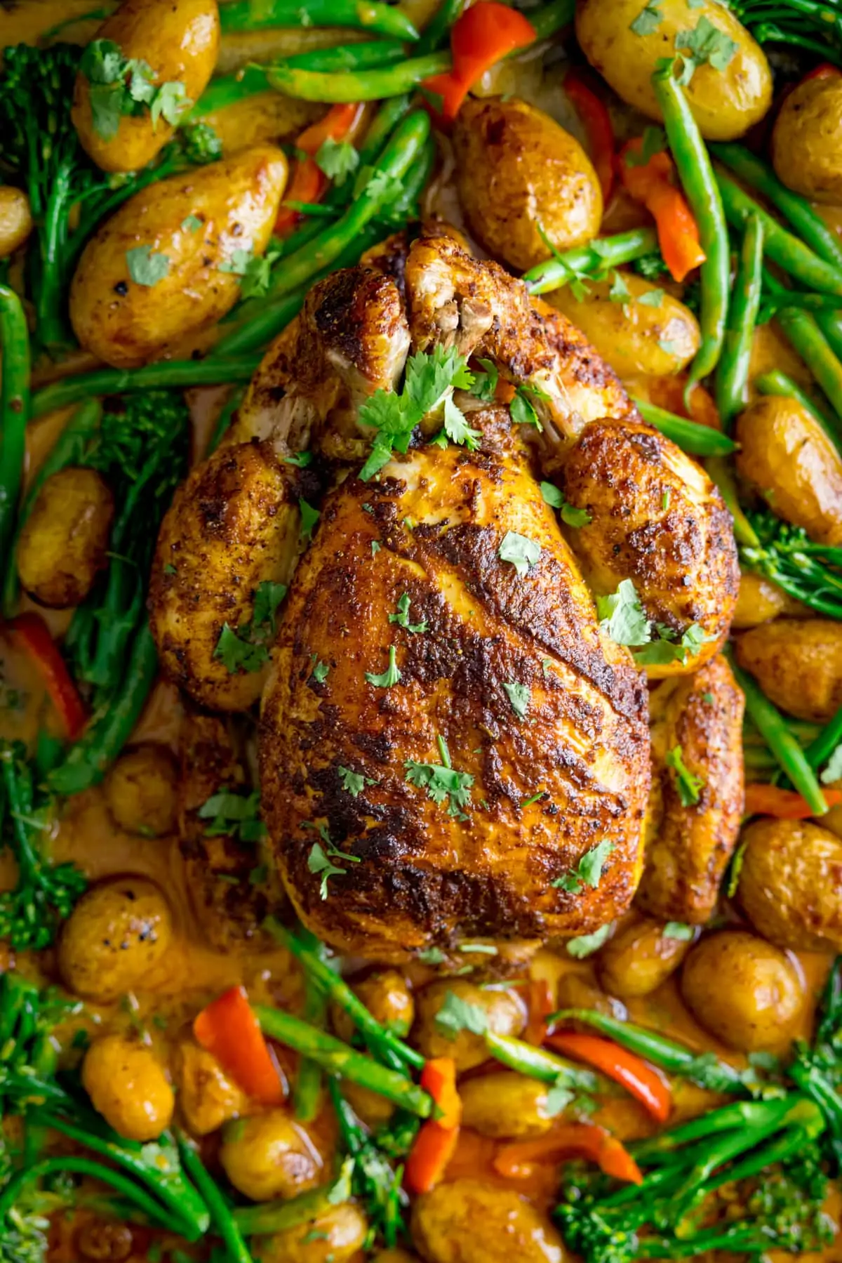 Overhead of a whole roast chicken in a baking tray with vegetables and curry sauce