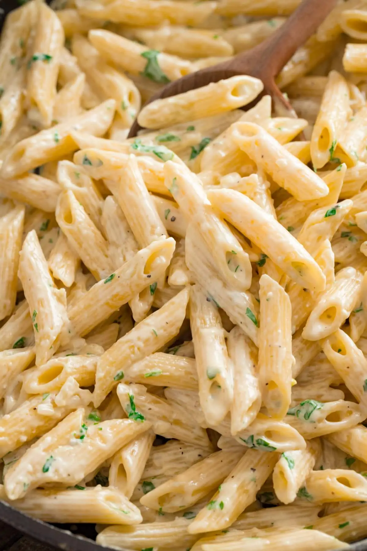 Close up of gorgonzola pasta in a pan.