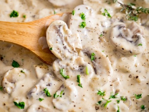 can you put cream of mushroom in dressing Creamy Mushroom Sauce Recipe