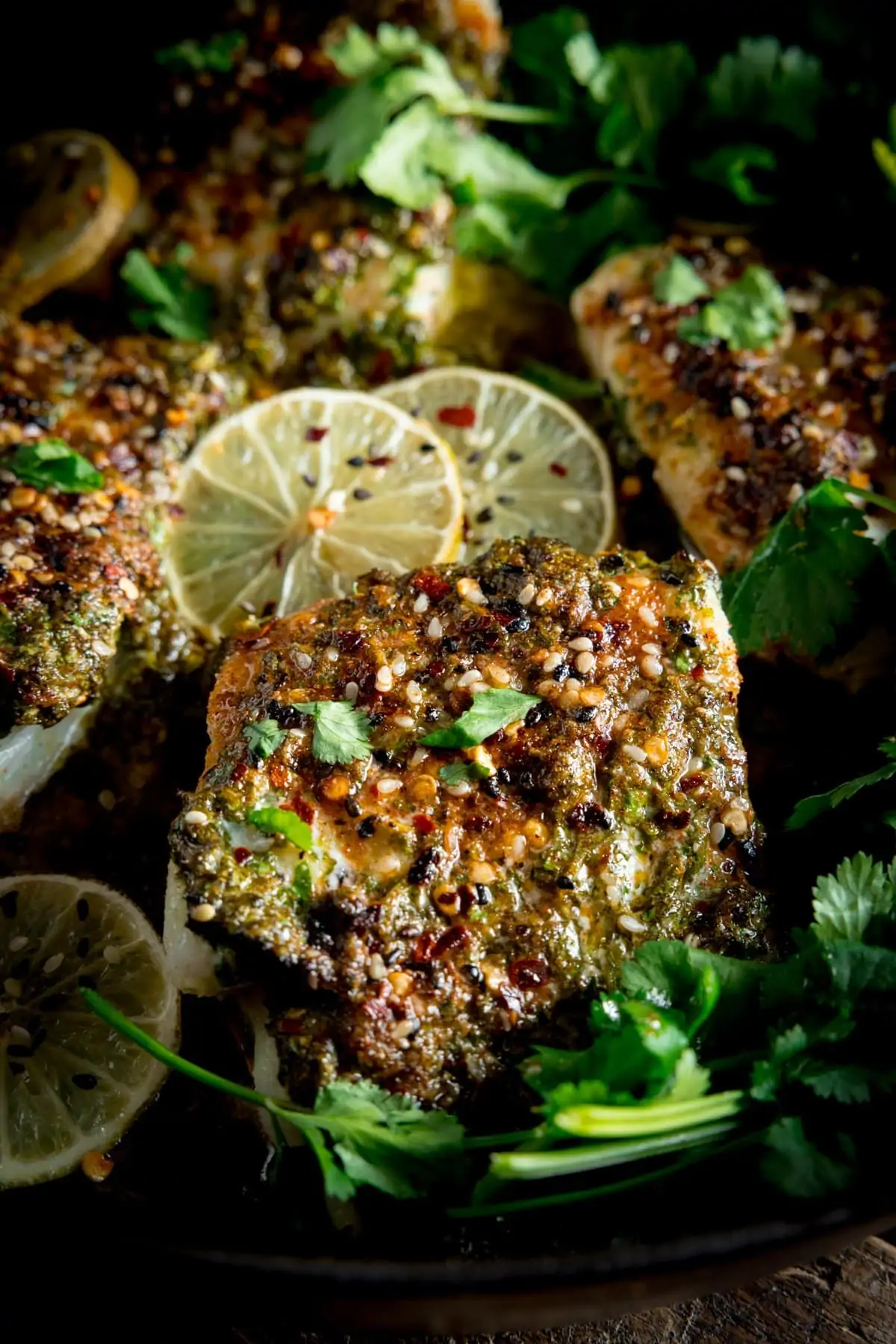 A close up photo of coriander lime cod bake from above, slices of lemon tucked around and fresh coriander to the side