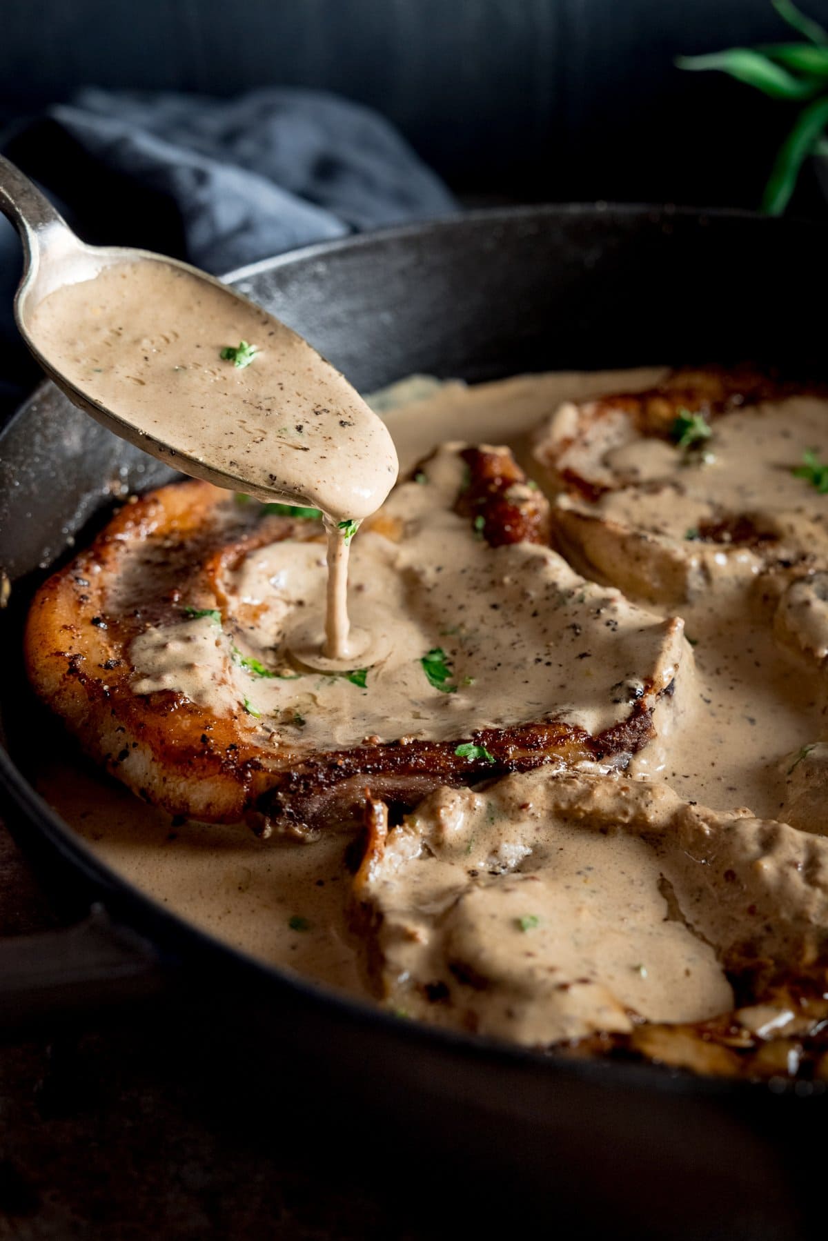 Pork Chops with Creamy Mustard Sauce - 78