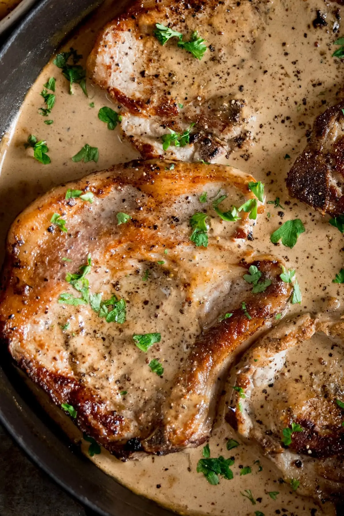 A close up of Pork chops with creamy mustard sauce, sprinkled with parsley