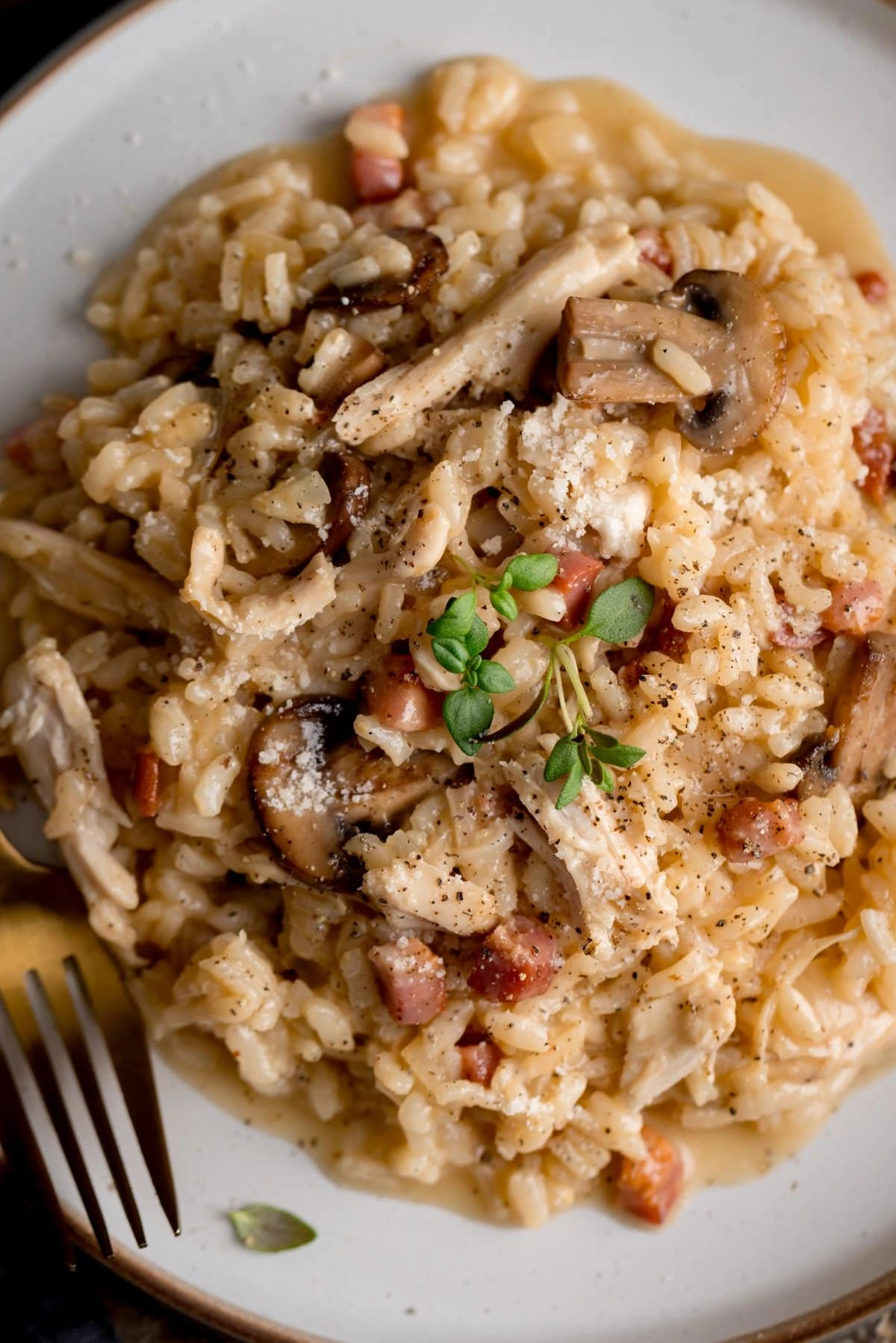 Overhead picture of some leftover turkey and mushroom risotto on a stone plate with a gold fork.