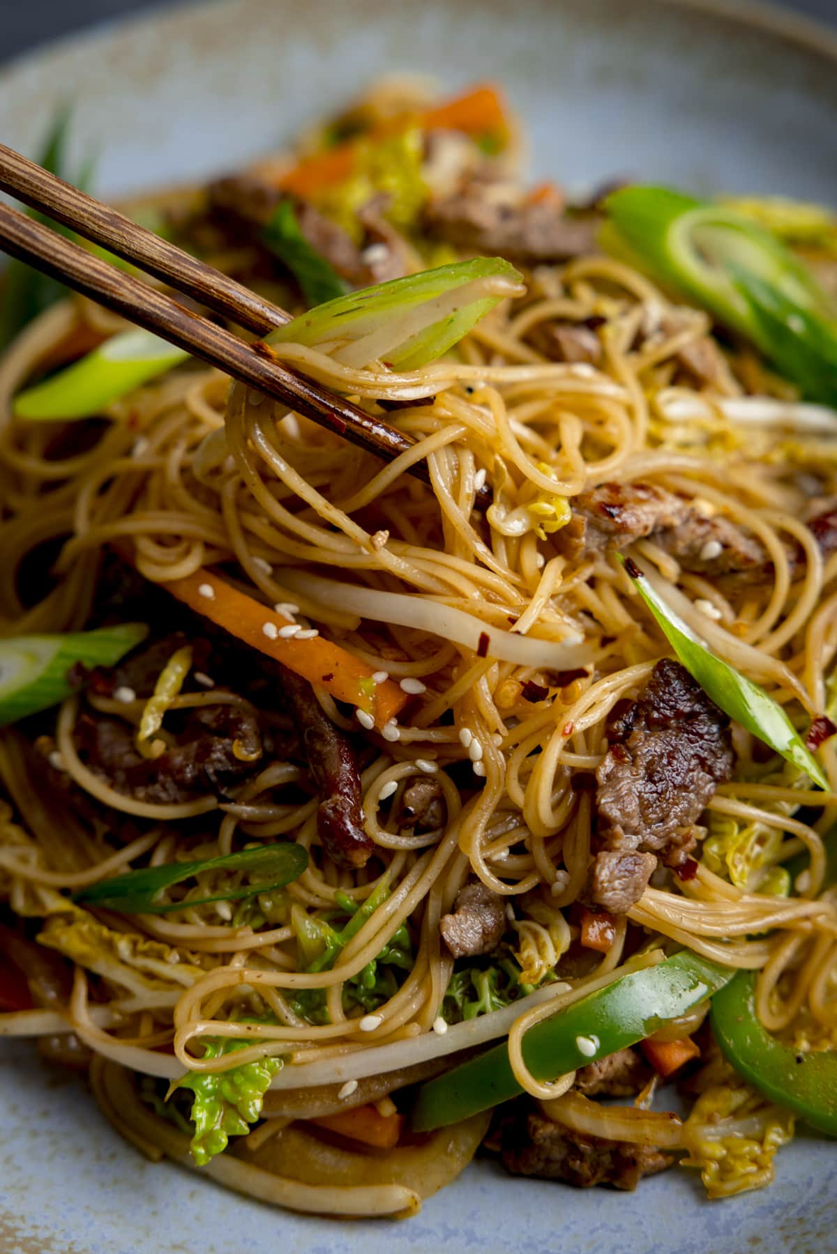 Close up of beef chow mein noodles being lifted with a set of chopsticks.