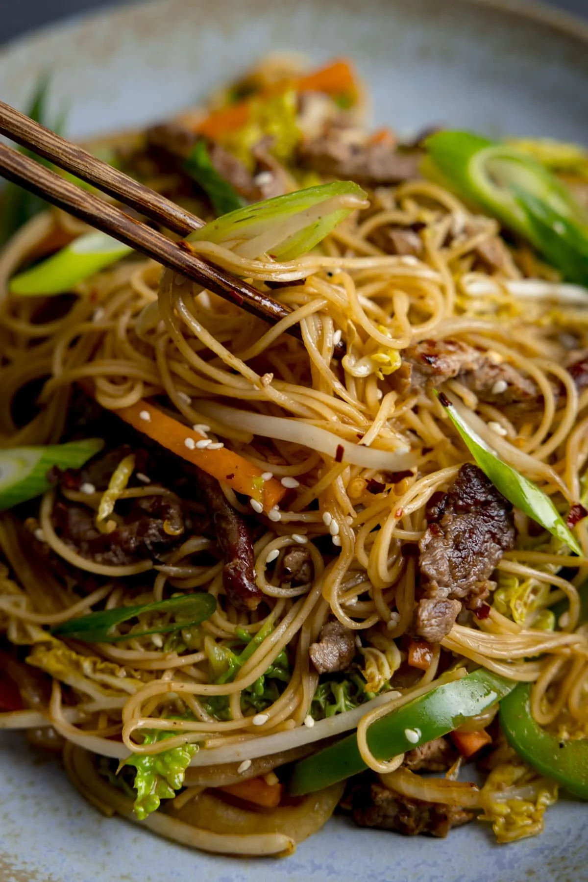 Close up of beef chow mein noodles being lifted with a set of chopsticks.