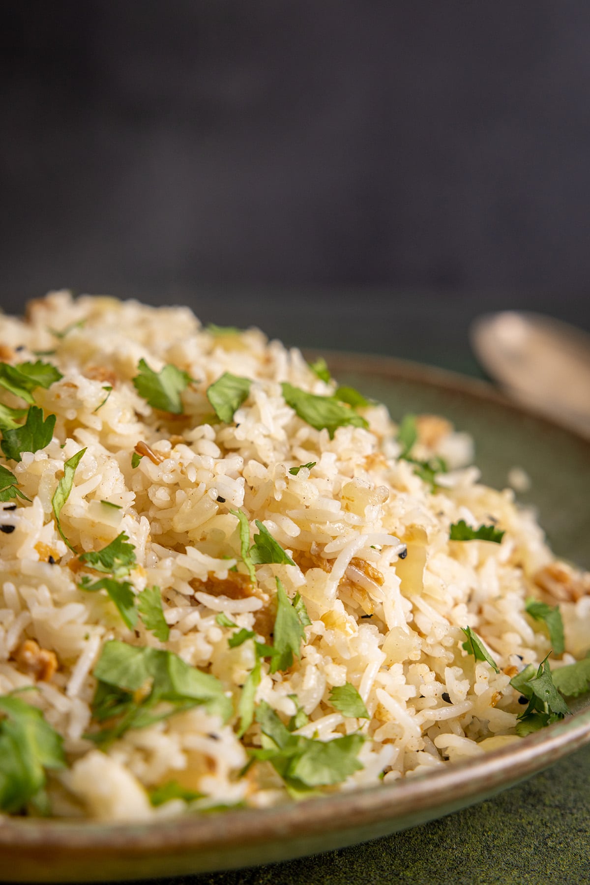 Nahaufnahme von gebratenem Reis mit Zwiebeln, bestreut mit frisch gehacktem Koriander auf einem grünen Teller.