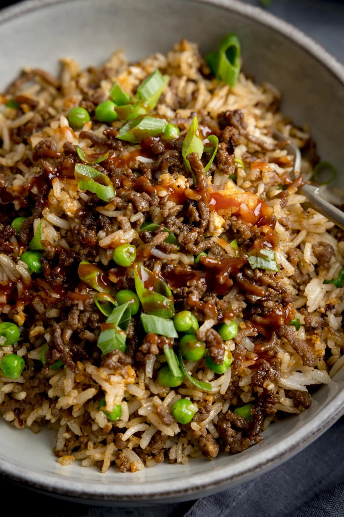 Close up of a bowl of minced beef fried rice, topped with spring onions.