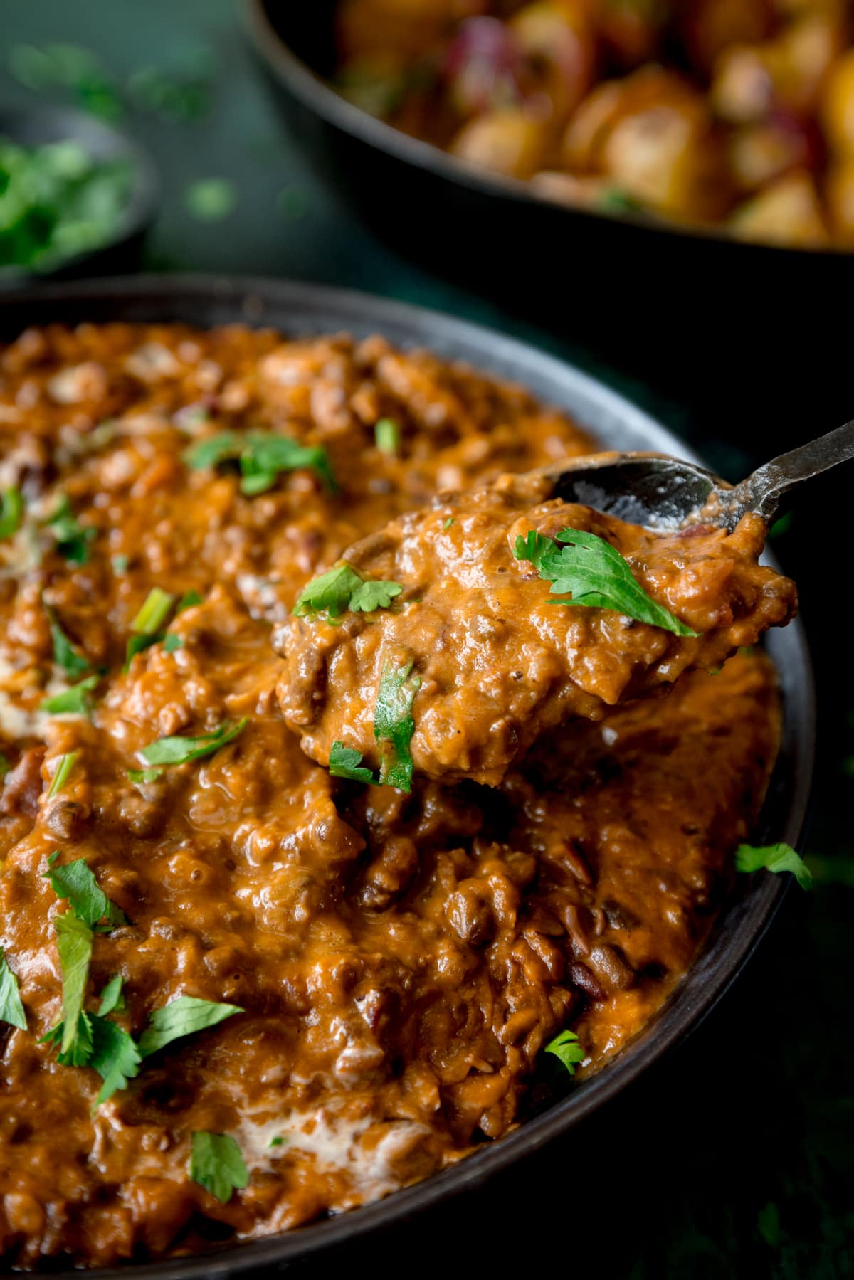 Close up picture of a spoon full of Dal Makhani with a sprinkling of fresh coriander.