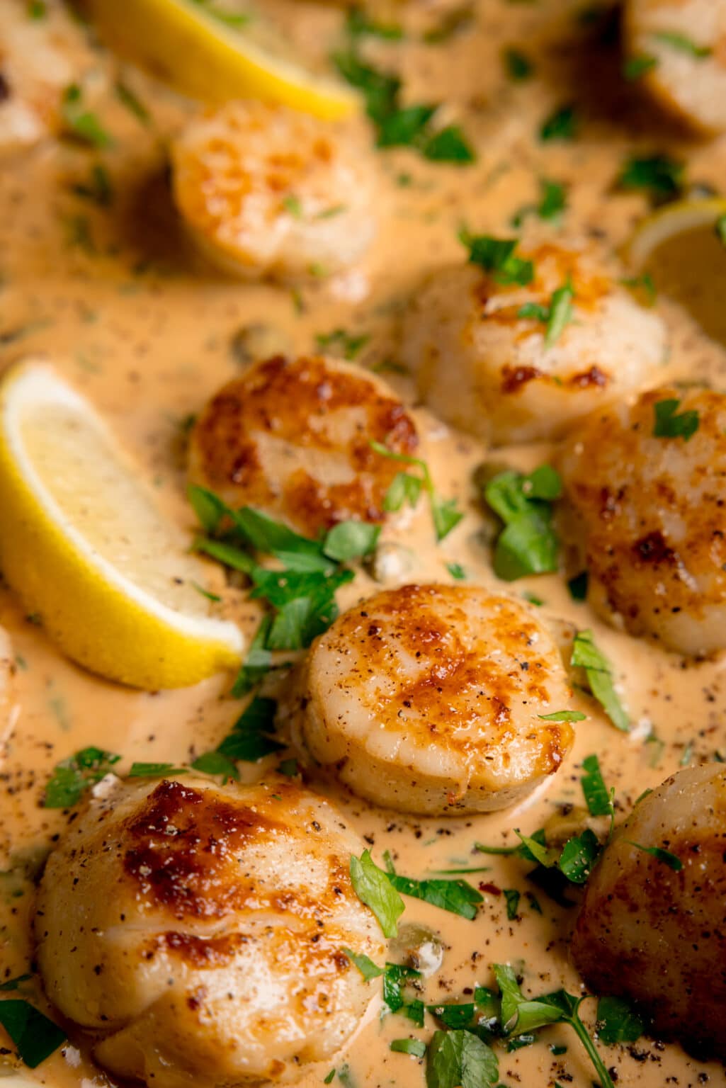 Creamy garlic scallops recipe nicky s kitchen sanctuary