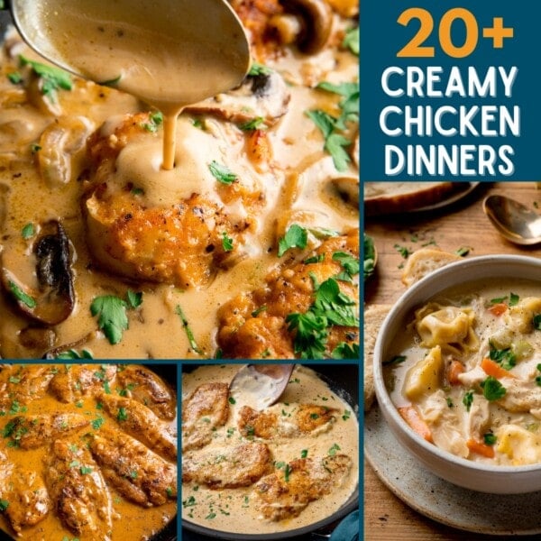 Collage of creamy chicken dishes with text stating 20+ Creamy Chicken Dinners on a blue background.