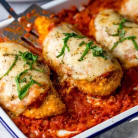 Baked breaded chicken parmesan fillets topped with melted cheese and fresh basil, served over a rich tomato sauce in a white dish.