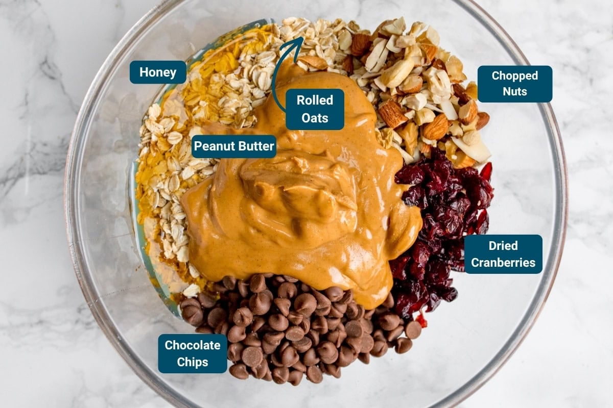 A glass bowl filled with rolled oats, honey, peanut butter, chocolate chips, chopped nuts, and dried cranberries&mdash;each labelled.
